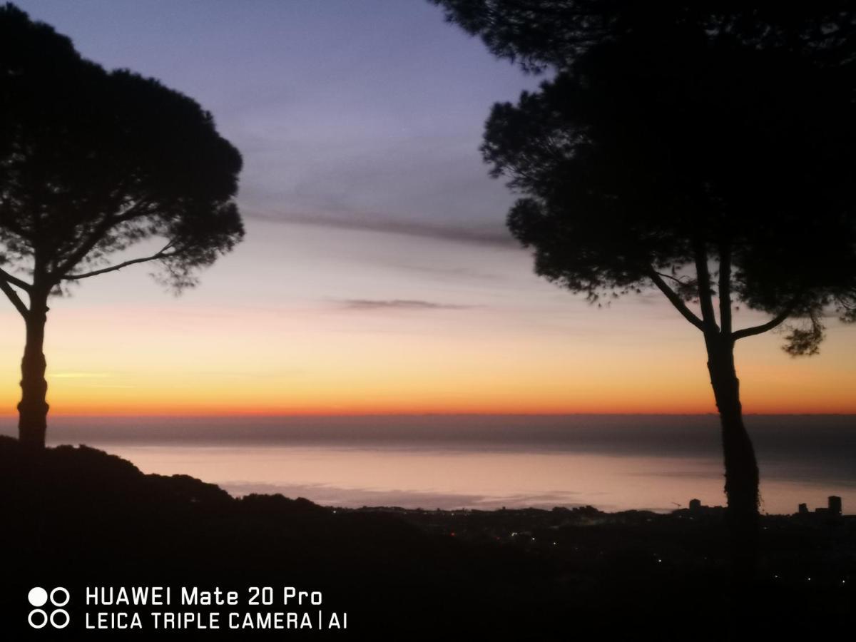 Villa Maresme & Villa Rosa Матаро Екстер'єр фото