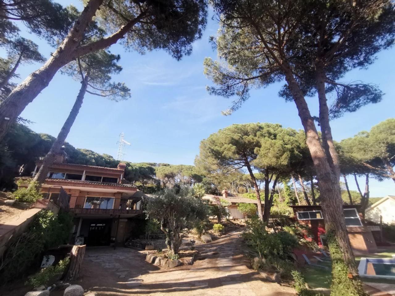 Villa Maresme & Villa Rosa Матаро Екстер'єр фото